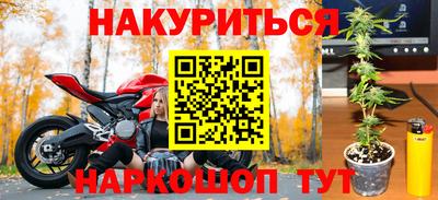 гашик Нальчик