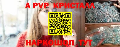 гашик Нальчик