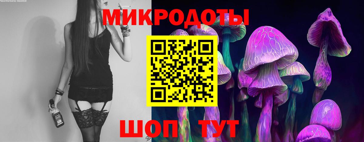 Псилоцибиновые грибы прущие грибы Алушта